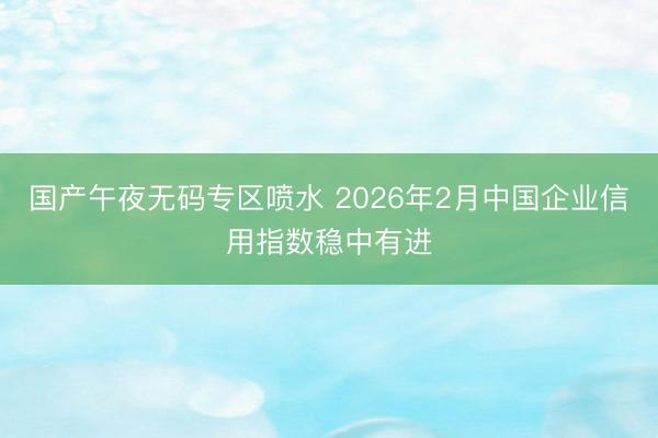 国产午夜无码专区喷水 2026年2月中国企业信用指数稳中有进