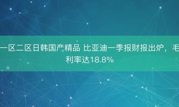 一区二区日韩国产精品 比亚迪一季报财报出炉，毛利率达18.8%