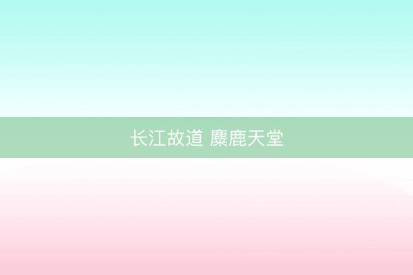 长江故道 麋鹿天堂