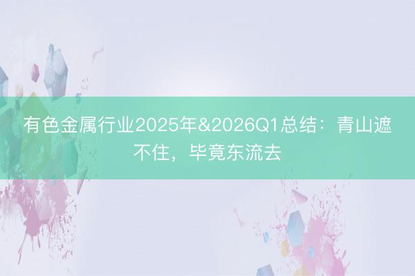 有色金属行业2025年&2026Q1总结：青山遮不住，毕竟东流去