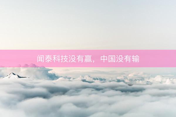 闻泰科技没有赢，中国没有输