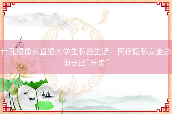 针孔摄像头直播大学生私密生活：民宿隐私安全必须长出“牙齿”