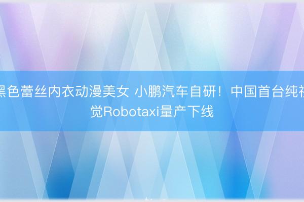 黑色蕾丝内衣动漫美女 小鹏汽车自研！中国首台纯视觉Robotaxi量产下线