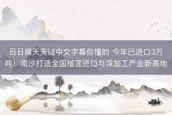 日日摸天天碰中文字幕你懂的 今年已进口3万吨！南沙打造全国榴莲进口与深加工产业新高地