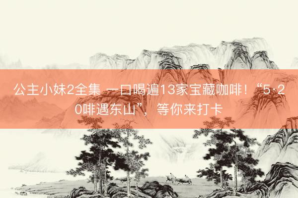 公主小妹2全集 一口喝遍13家宝藏咖啡！“5·20啡遇东山”，等你来打卡