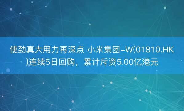 使劲真大用力再深点 小米集团-W(01810.HK)连续5日回购，累计斥资5.00亿港元