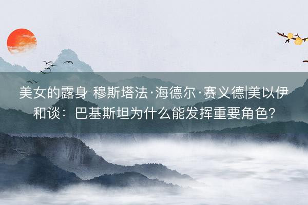 美女的露身 穆斯塔法·海德尔·赛义德|美以伊和谈：巴基斯坦为什么能发挥重要角色？