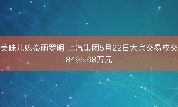 美味儿媳秦雨罗明 上汽集团5月22日大宗交易成交8495.68万元