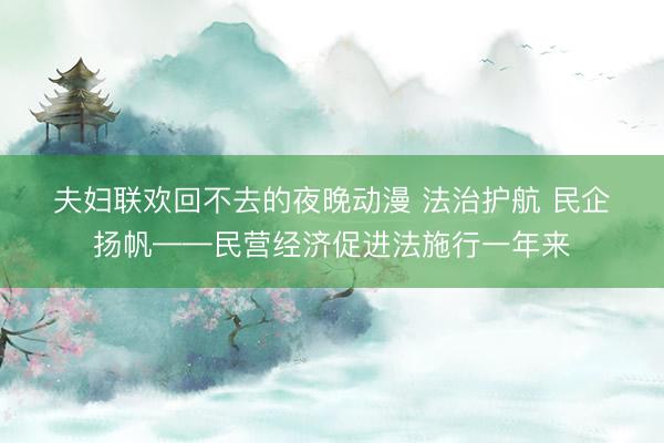 夫妇联欢回不去的夜晚动漫 法治护航 民企扬帆——民营经济促进法施行一年来