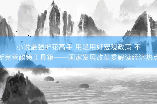 小说最强护花高手 用足用好宏观政策 不断完善政策工具箱——国家发展改革委解读经济热点