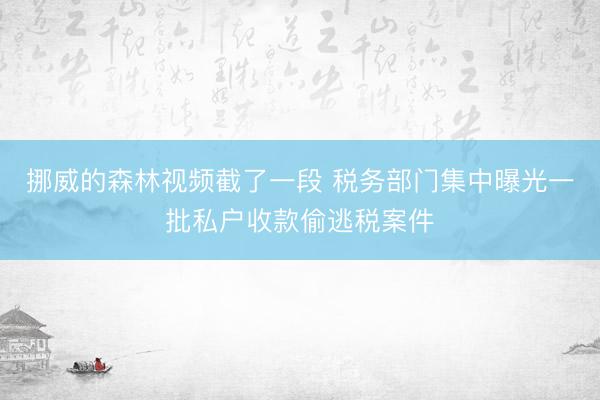 挪威的森林视频截了一段 税务部门集中曝光一批私户收款偷逃税案件