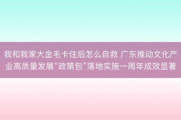 我和我家大金毛卡住后怎么自救 广东推动文化产业高质量发展“政策包”落地实施一周年成效显著