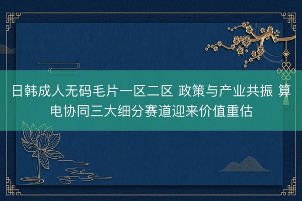 日韩成人无码毛片一区二区 政策与产业共振 算电协同三大细分赛道迎来价值重估