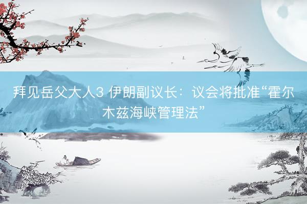 拜见岳父大人3 伊朗副议长：议会将批准“霍尔木兹海峡管理法”