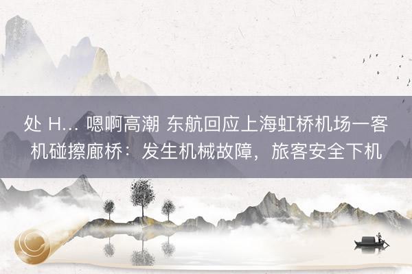 处 H… 嗯啊高潮 东航回应上海虹桥机场一客机碰擦廊桥：发生机械故障，旅客安全下机