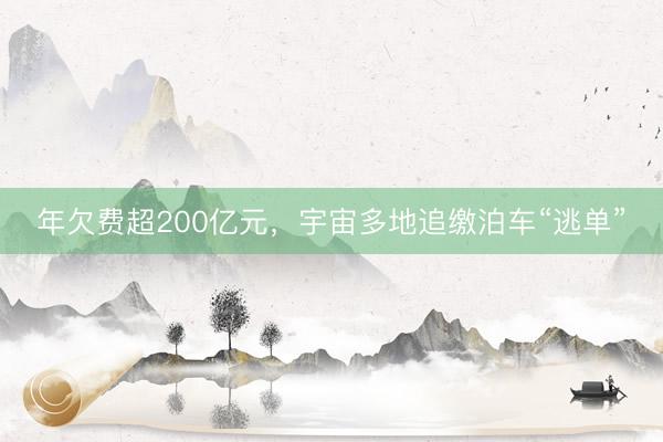 年欠费超200亿元，宇宙多地追缴泊车“逃单”