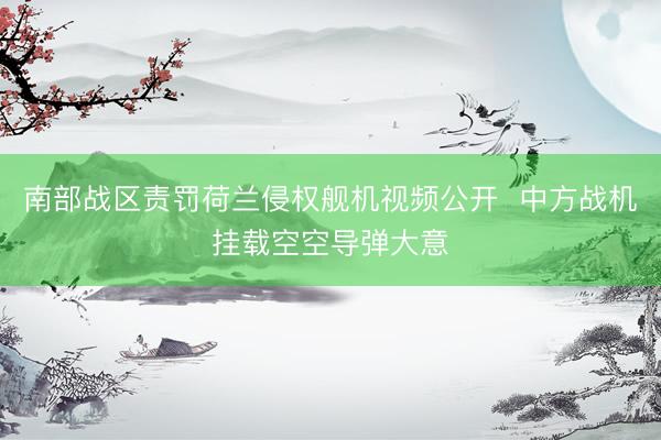 南部战区责罚荷兰侵权舰机视频公开  中方战机挂载空空导弹大意