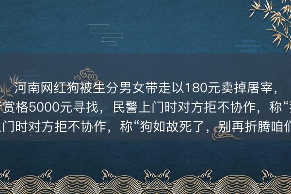 河南网红狗被生分男女带走以180元卖掉屠宰，主东谈主中断大家旅行赏格5000元寻找，民警上门时对方拒不协作，称“狗如故死了，别再折腾咱们”