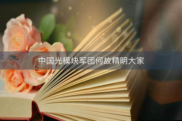 中国光模块军团何故精明大家