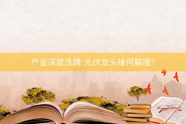 产业深度洗牌 光伏龙头缘何解围？