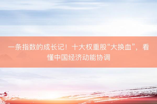 一条指数的成长记！十大权重股“大换血”，看懂中国经济动能协调