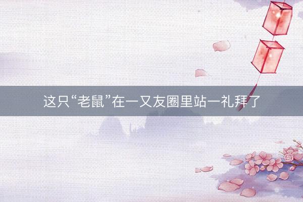 这只“老鼠”在一又友圈里站一礼拜了