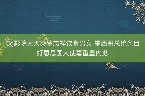 5g影院天天爽罗志祥饮食男女 墨西哥总统条目好意思国大使尊重墨内务