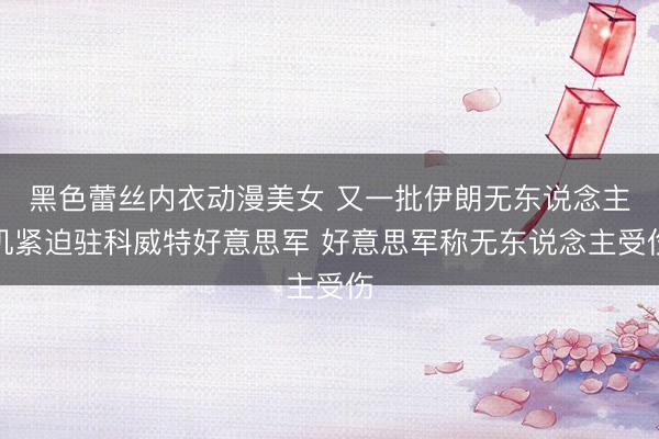 黑色蕾丝内衣动漫美女 又一批伊朗无东说念主机紧迫驻科威特好意思军 好意思军称无东说念主受伤