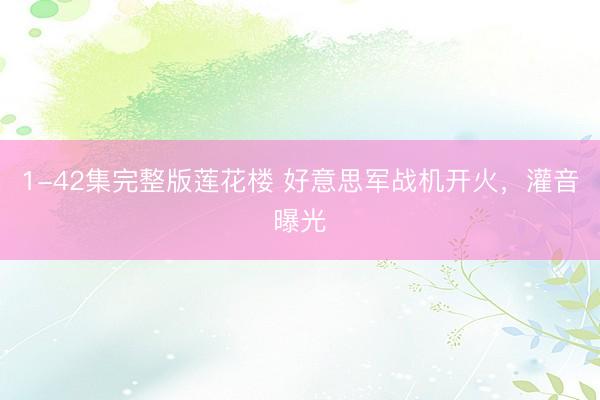 1-42集完整版莲花楼 好意思军战机开火，灌音曝光