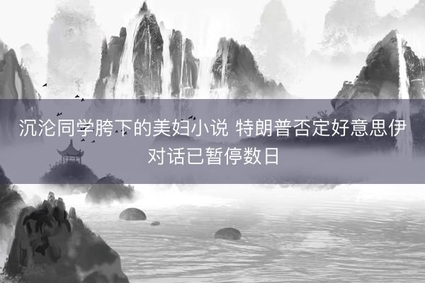沉沦同学胯下的美妇小说 特朗普否定好意思伊对话已暂停数日