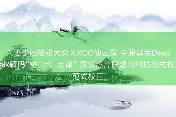 人妻少妇被粗大爽ⅩXOO傅云深 中原基金DeepTalk解码“韬（τ）定律” 深谈芯片联想与科技范式校正