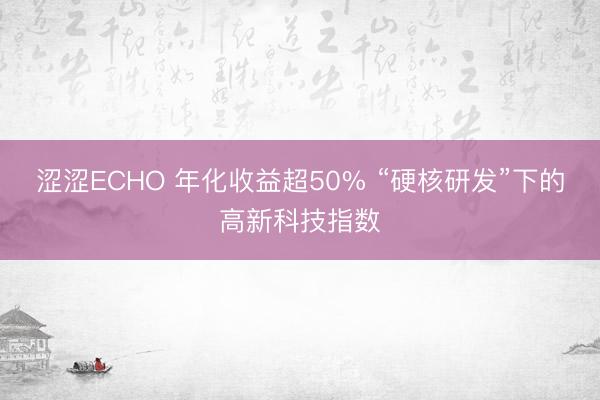 涩涩ECHO 年化收益超50% “硬核研发”下的高新科技指数
