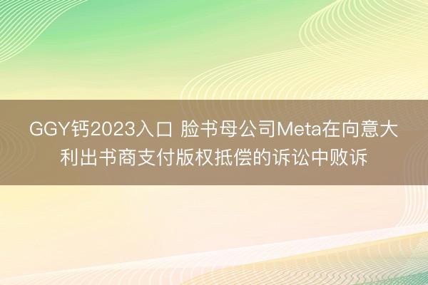 GGY钙2023入口 脸书母公司Meta在向意大利出书商支付版权抵偿的诉讼中败诉