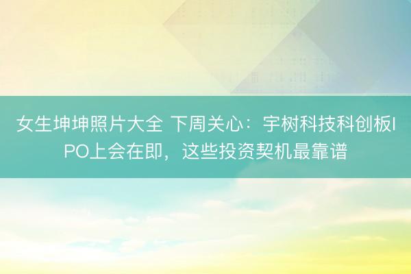 女生坤坤照片大全 下周关心：宇树科技科创板IPO上会在即，这些投资契机最靠谱