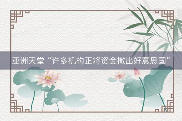 亚洲天堂 “许多机构正将资金撤出好意思国”