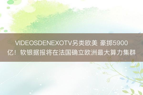 VIDEOSDENEXOTV另类欧美 豪掷5900亿！软银据报将在法国确立欧洲最大算力集群