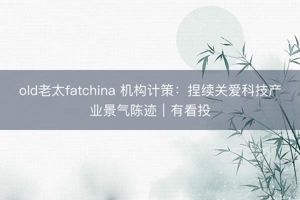 old老太fatchina 机构计策：捏续关爱科技产业景气陈迹｜有看投