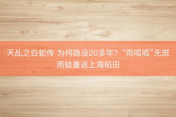 天乩之白蛇传 为何隐没20多年？“雨呱呱”无斑雨蛙重返上海稻田