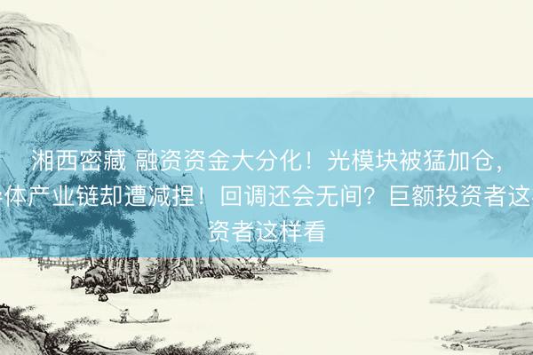 湘西密藏 融资资金大分化！光模块被猛加仓，半导体产业链却遭减捏！回调还会无间？巨额投资者这样看