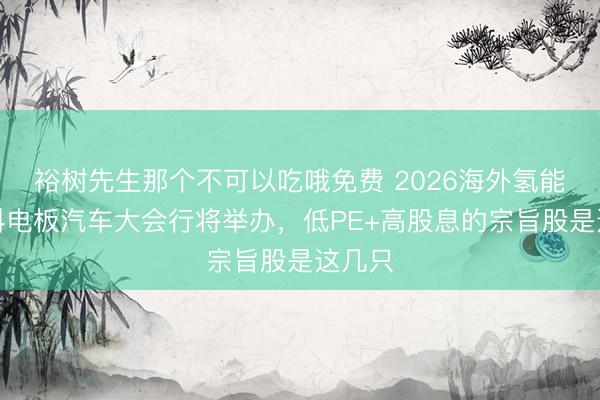 裕树先生那个不可以吃哦免费 2026海外氢能与燃料电板汽车大会行将举办，低PE+高股息的宗旨股是这几只