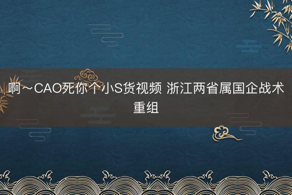 啊~CAO死你个小S货视频 浙江两省属国企战术重组