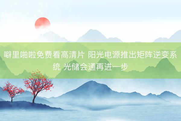 噼里啪啦免费看高清片 阳光电源推出矩阵逆变系统 光储会通再进一步