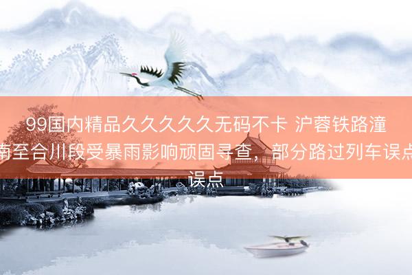 99国内精品久久久久久无码不卡 沪蓉铁路潼南至合川段受暴雨影响顽固寻查，部分路过列车误点