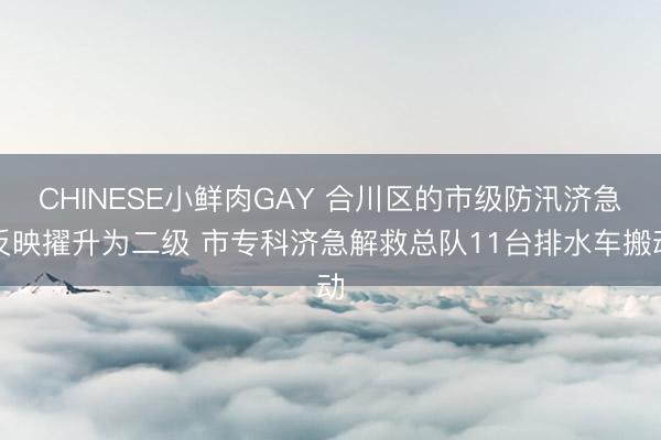 CHINESE小鲜肉GAY 合川区的市级防汛济急反映擢升为二级 市专科济急解救总队11台排水车搬动