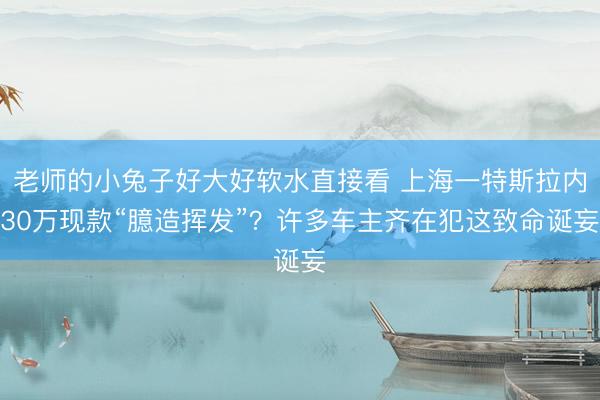 老师的小兔子好大好软水直接看 上海一特斯拉内30万现款“臆造挥发”？许多车主齐在犯这致命诞妄