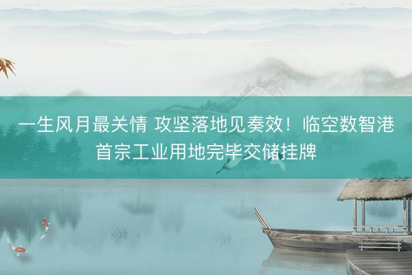 一生风月最关情 攻坚落地见奏效！临空数智港首宗工业用地完毕交储挂牌
