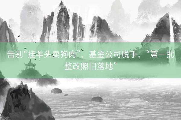告别“挂羊头卖狗肉”，基金公司脱手，“第一批整改照旧落地”