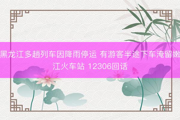 黑龙江多趟列车因降雨停运 有游客半途下车淹留嫩江火车站 12306回话