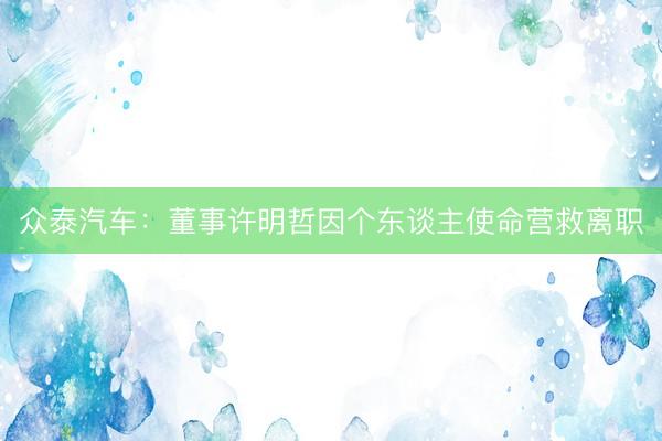 众泰汽车：董事许明哲因个东谈主使命营救离职