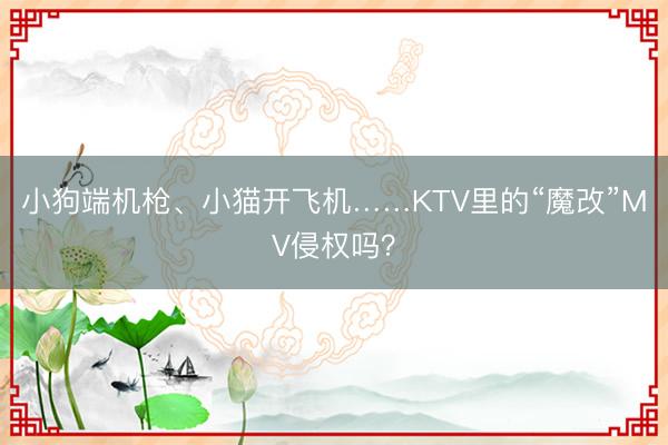 小狗端机枪、小猫开飞机……KTV里的“魔改”MV侵权吗？